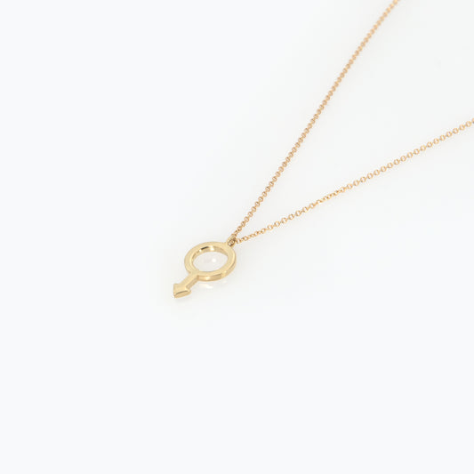 Mars Symbol 14k Gold Vermeil Necklace