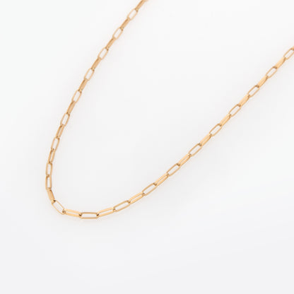 Delicate Gold Paperclip Necklace